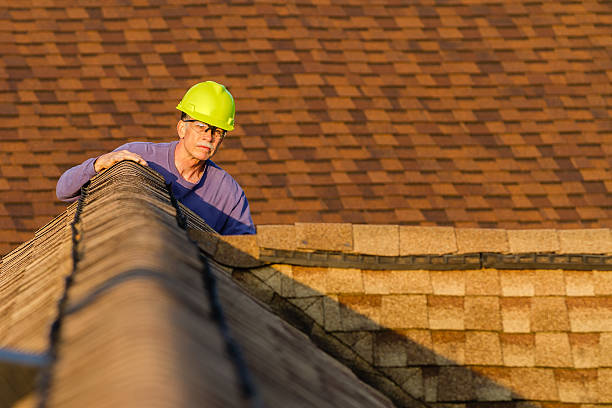 Roof Gutter Cleaning in Mount Ora, OH