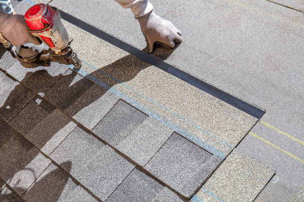 Best Roof Gutter Cleaning  in Mount Ora, OH